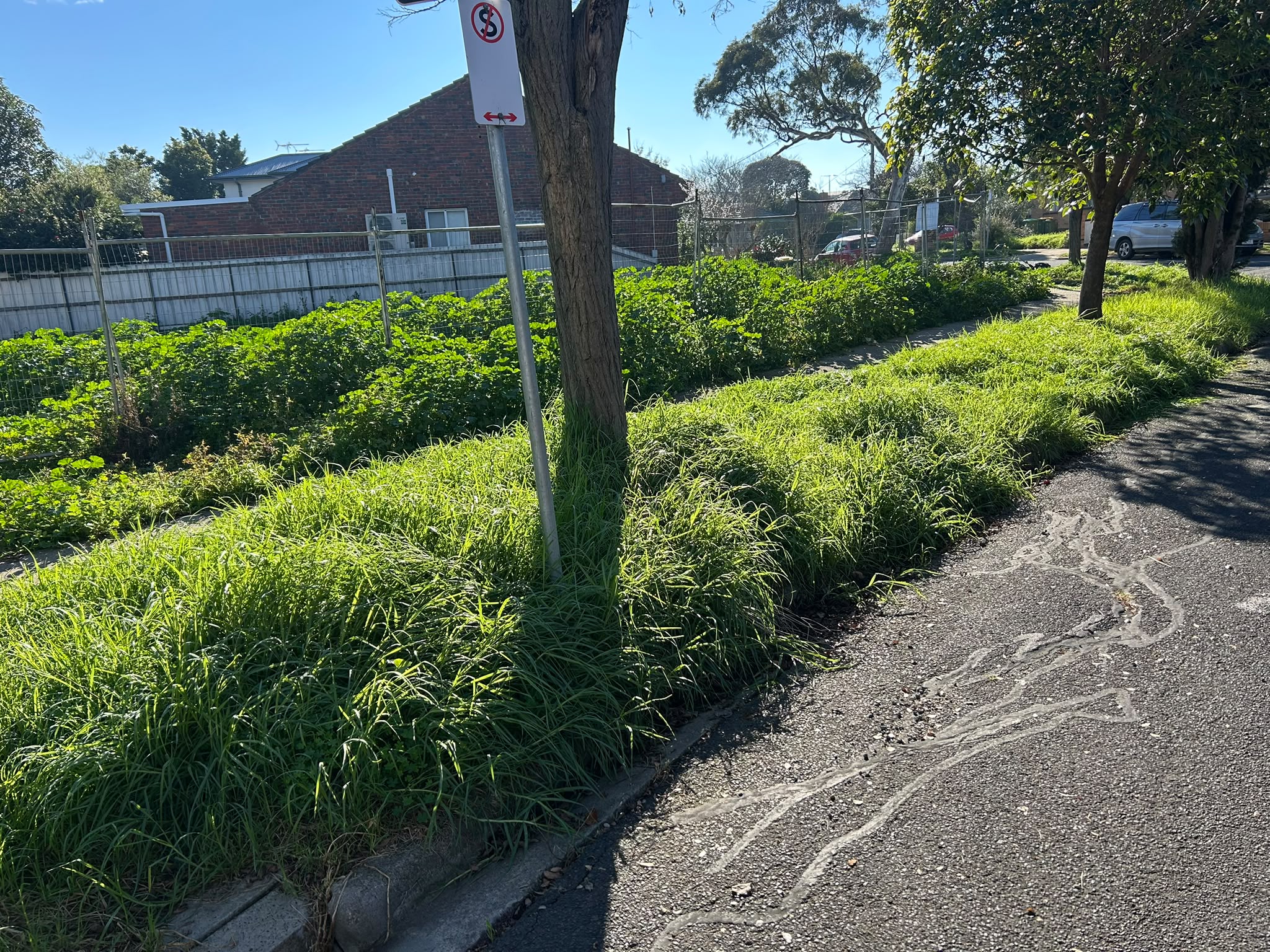 Garden Clean Up Before image 5